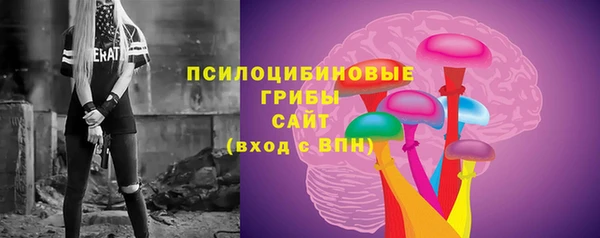 первитин Алексин