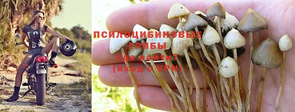 трава Алексеевка