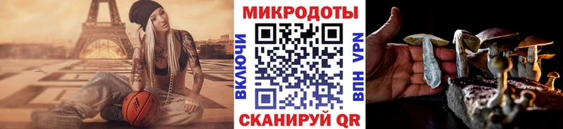 mega   дарнет шоп  Новоузенск  Галлюциногенные грибы GOLDEN TEACHER 