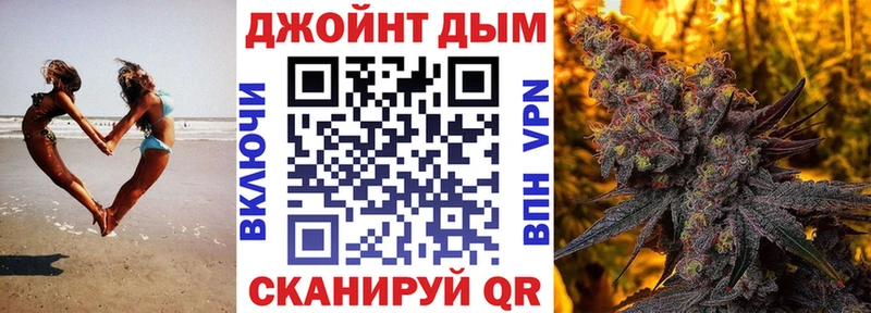 Конопля SATIVA & INDICA  Новоузенск 